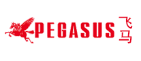 PEGASUS飞马